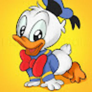 Meet your Posher, Donald